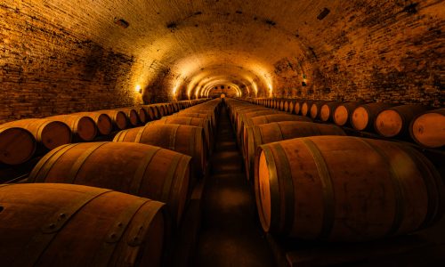 VIÑA COUSIÑO MACUL-10